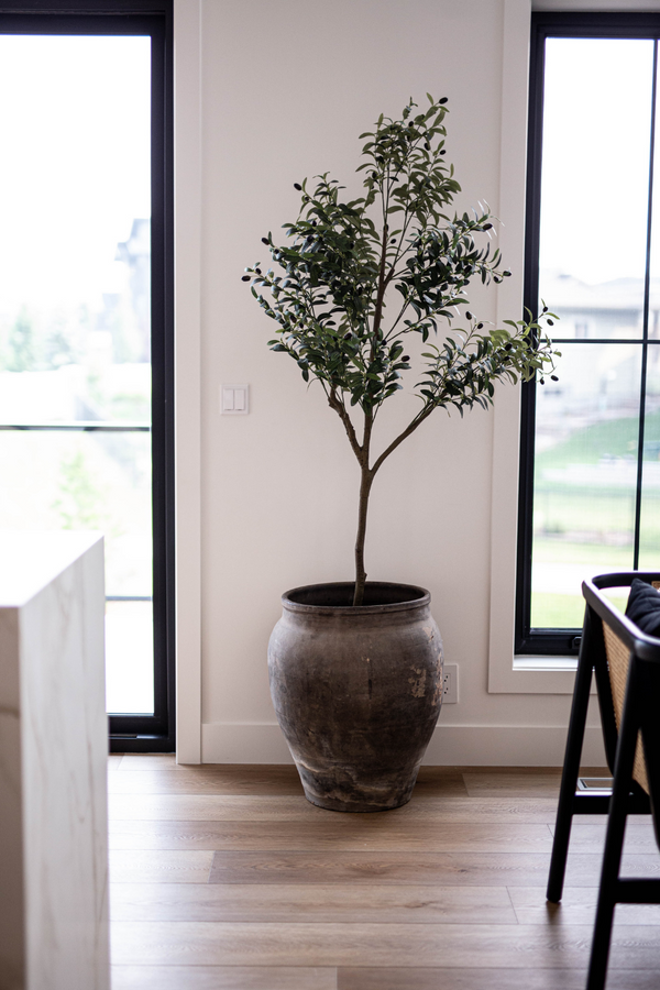 Oversized Olive Tree Pot - Luxe B Pampas Grass  Canada , dried flowers and pampas grass Canadian Company. Bulk and wholesale dried flowers and pampas grass fluffy. Large White Pampas Grass Toronto