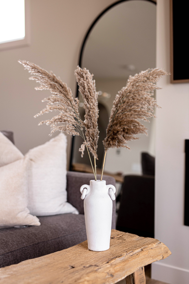 Small Natural Pampas 5 Stem - Luxe B Pampas Grass  Canada , dried flowers and pampas grass Canadian Company. Bulk and wholesale dried flowers and pampas grass fluffy. Large White Pampas Grass Toronto