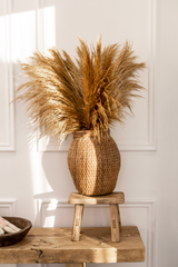 Atelier Basket Thin Band - Luxe B Pampas Grass  Canada , dried flowers and pampas grass Canadian Company. Bulk and wholesale dried flowers and pampas grass fluffy. Large White Pampas Grass Toronto