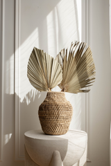 Palm Leave - Luxe B Pampas Grass  Canada , dried flowers and pampas grass Canadian Company. Bulk and wholesale dried flowers and pampas grass fluffy. Large White Pampas Grass Toronto