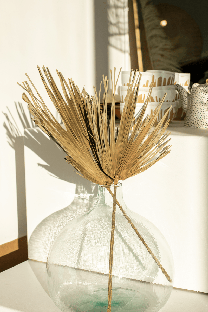 Large Palm Fan Teethy Leaves - Luxe B Pampas Grass  Canada , ships via Canada Post from Edmonton 